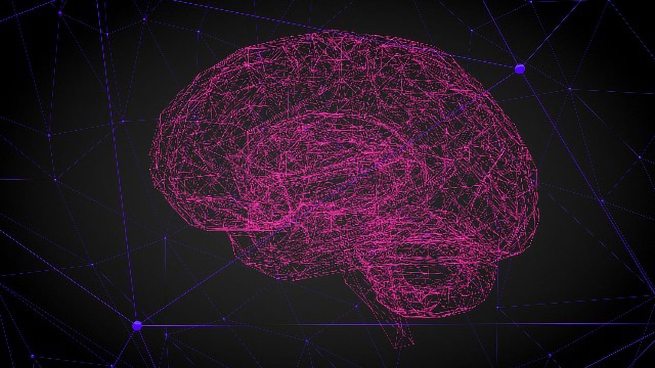Enzyme That Protects Neurons From DNA Damage Is Diminished by Alzheimer's and Aging