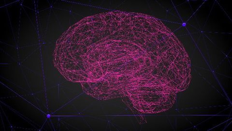 Enzyme That Protects Neurons From DNA Damage Is Diminished by Alzheimer's and Aging