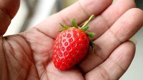 Key Innovations Could Transform Our Food Production