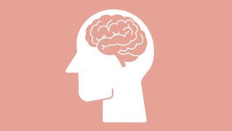 Researchers Identify the Seat of Executive Function in the Brain