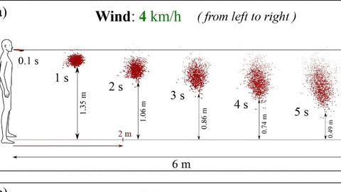 Magic Six Feet Not Enough To Prevent SARS-CoV-2 Transmission in a Light Breeze