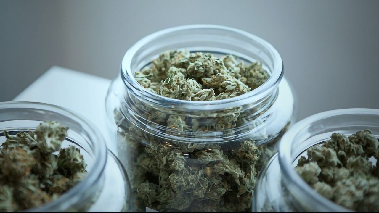 Cannabis Cravings Differ Between the Sexes