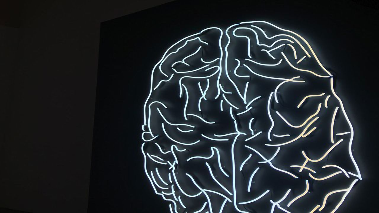 Who Goes There? Determining Lipid Composition in the Brain