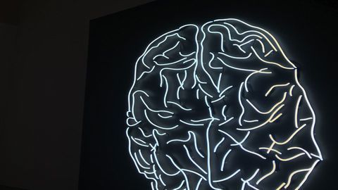 Who Goes There? Determining Lipid Composition in the Brain