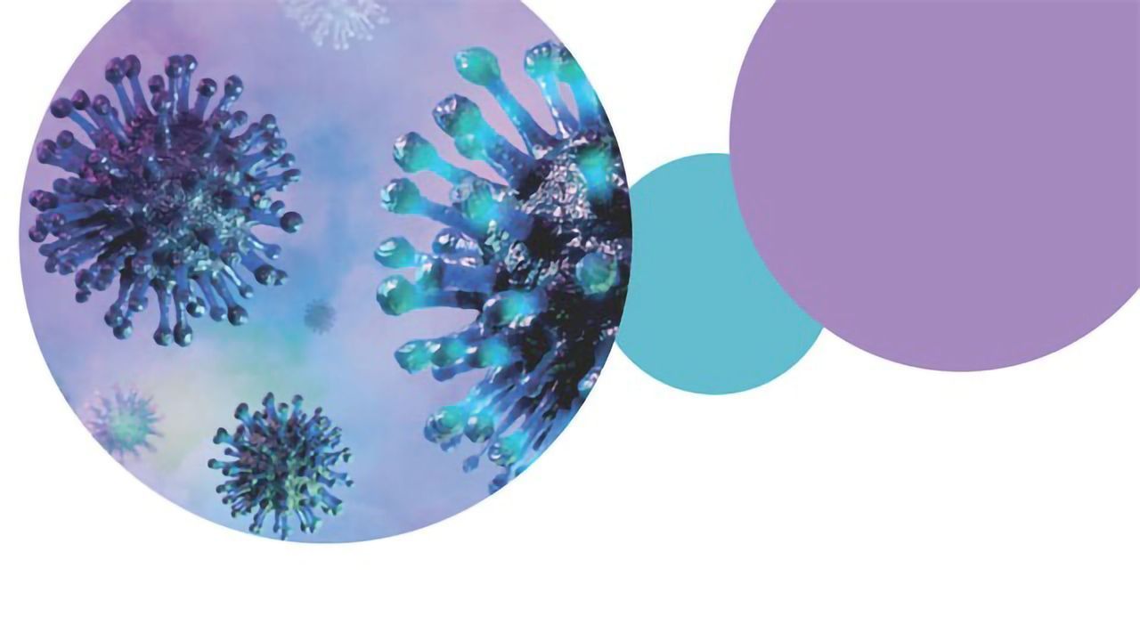 Recent Insights Into COVID-19 Binding Epitopes
