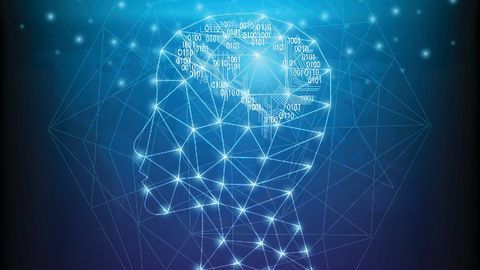 New Neuroinflammation Discovery Services Offer Advanced Insight into Chronic Pain
