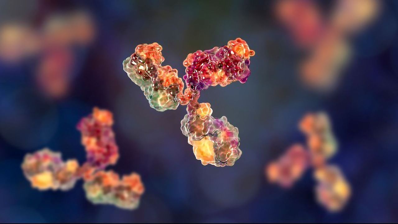 Innate vs Adaptive Immunity
