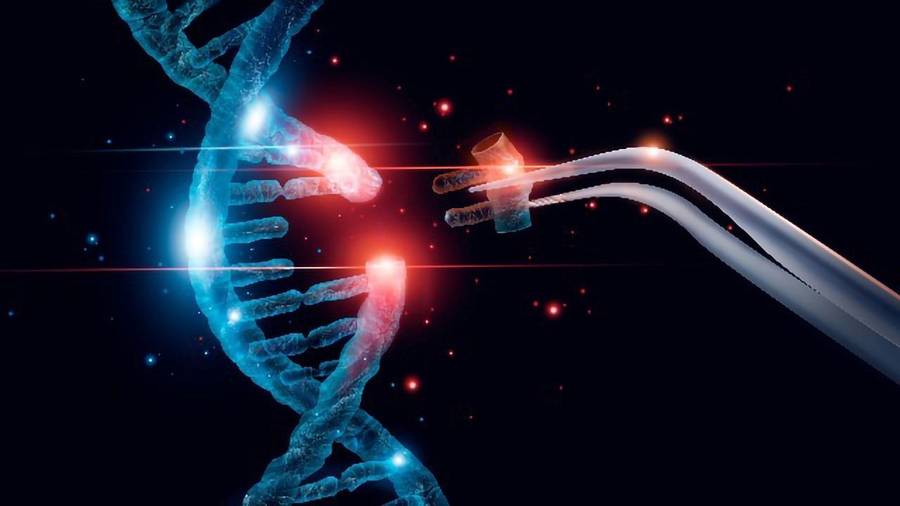 Improving Gene Editing by Promoting Error-free Repair of CRISPR/Cas9-cut DNA