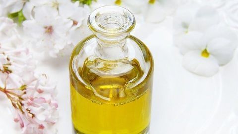 The Genome of Jojoba