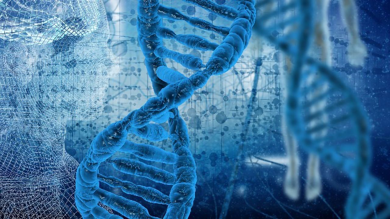 Olaparib Approved as Gene-targeted Medicine for Prostate Cancer