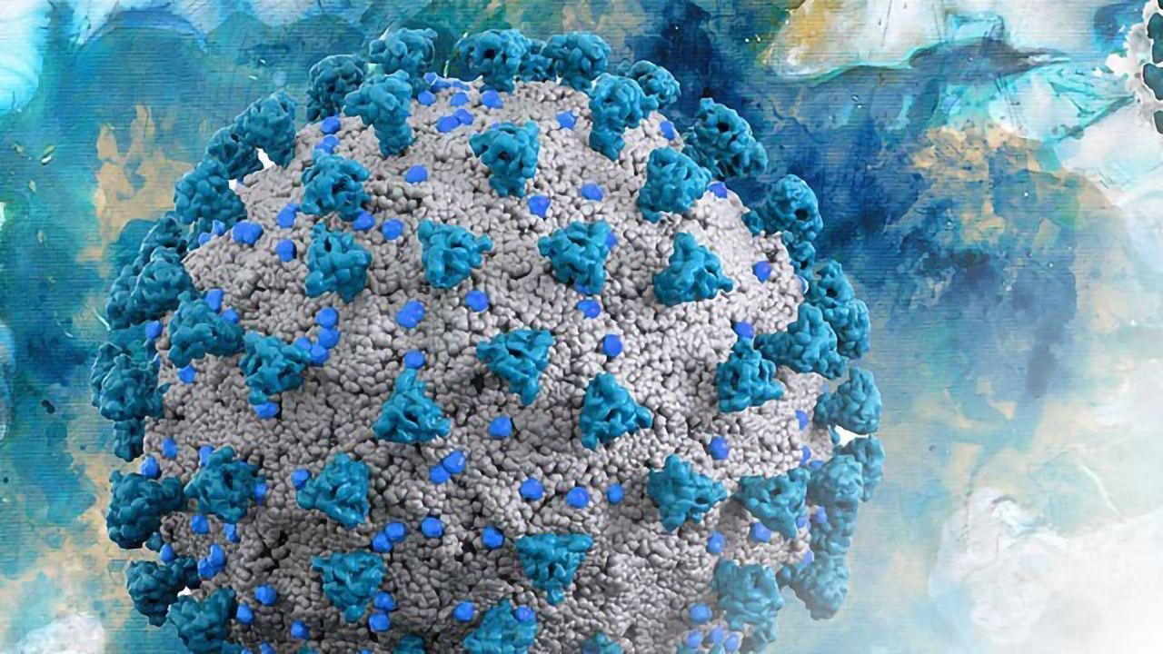 Indica Labs and Octo Launch COVID-19 Digital Pathology Repository