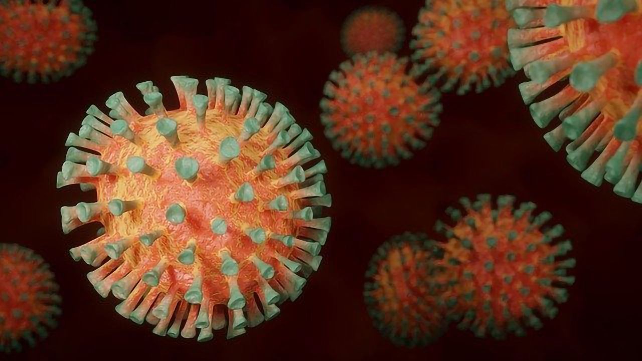 Have Researchers Uncovered the Viral Achilles Heel?