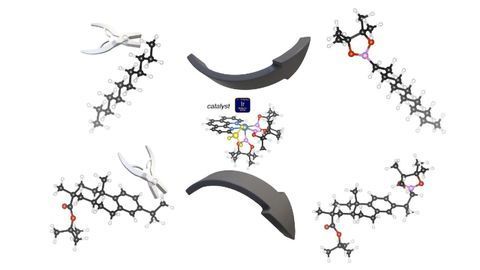 Nature's Most Common Chemical Bond Finally Cracked