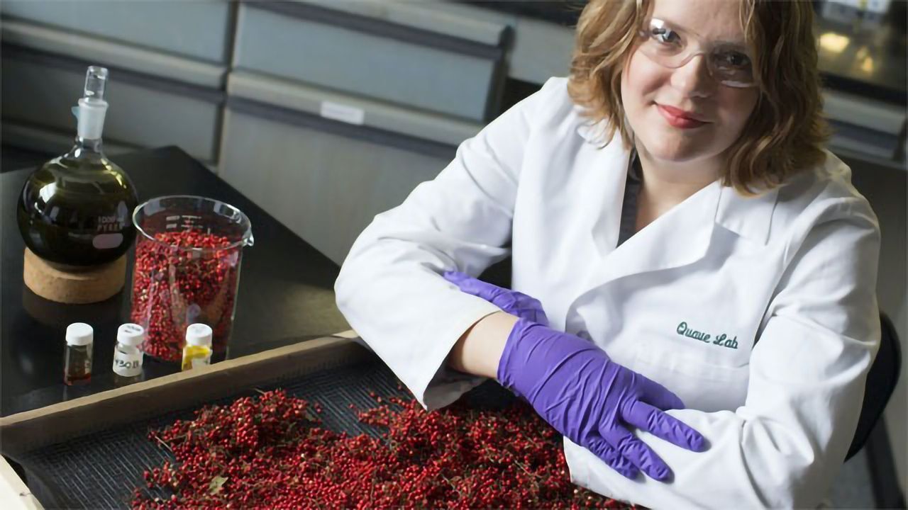 Chemicals in Noxious Weed Can "Disarm" MRSA
