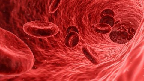 Microstroke Recovery Restores Blood Flow Before Brain Tissue