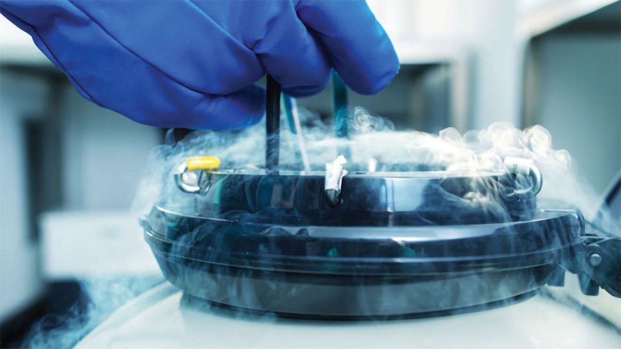 Cryopreservation Guide – The Basics of Cellular Cryopreservation for Research and Clinical Use
