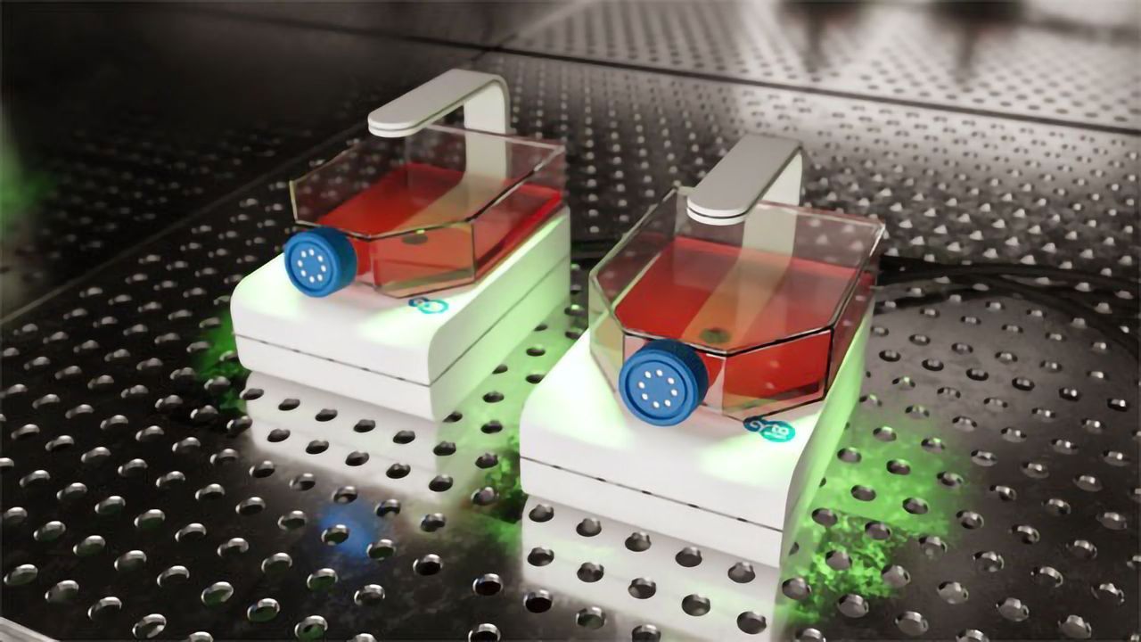 CytoSMART Technologies Announces Launch of CytoSMART Lux2 Duo Kit