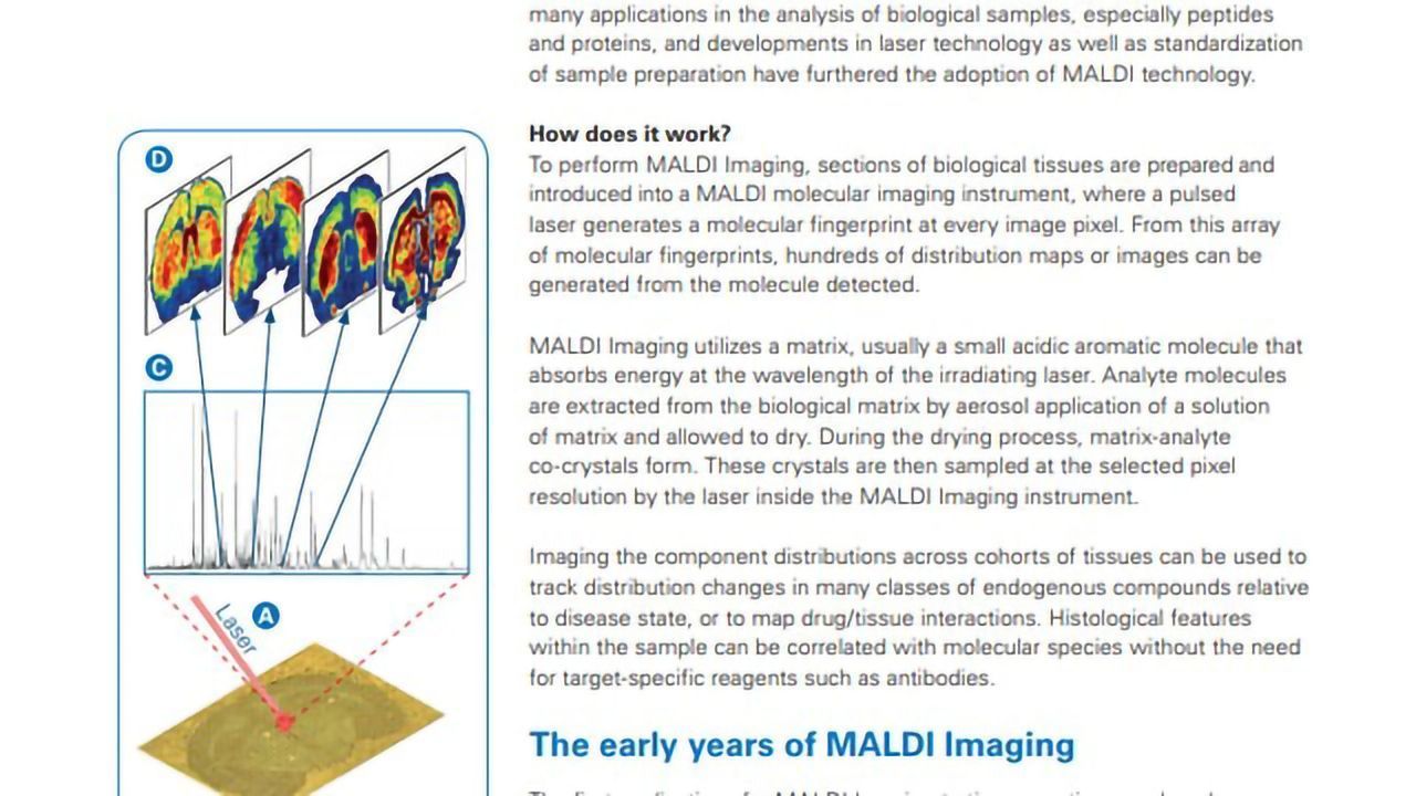 MALDI Imaging: Past, Present and Future
