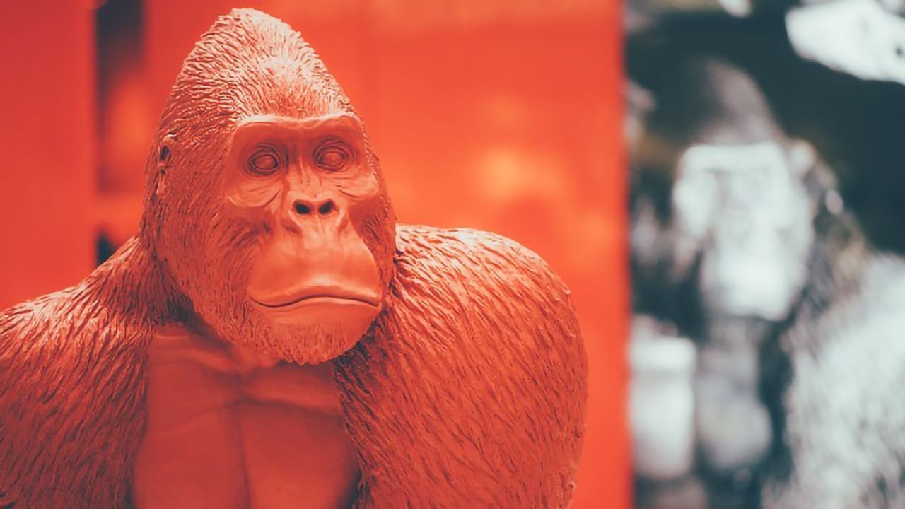 Examining Cancer From an Evolutionary Point of View