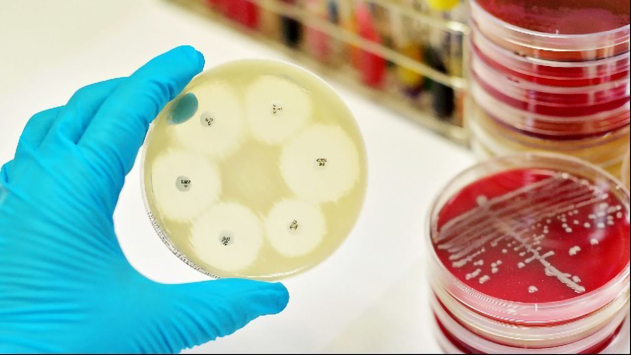 Antimicrobial Resistance
