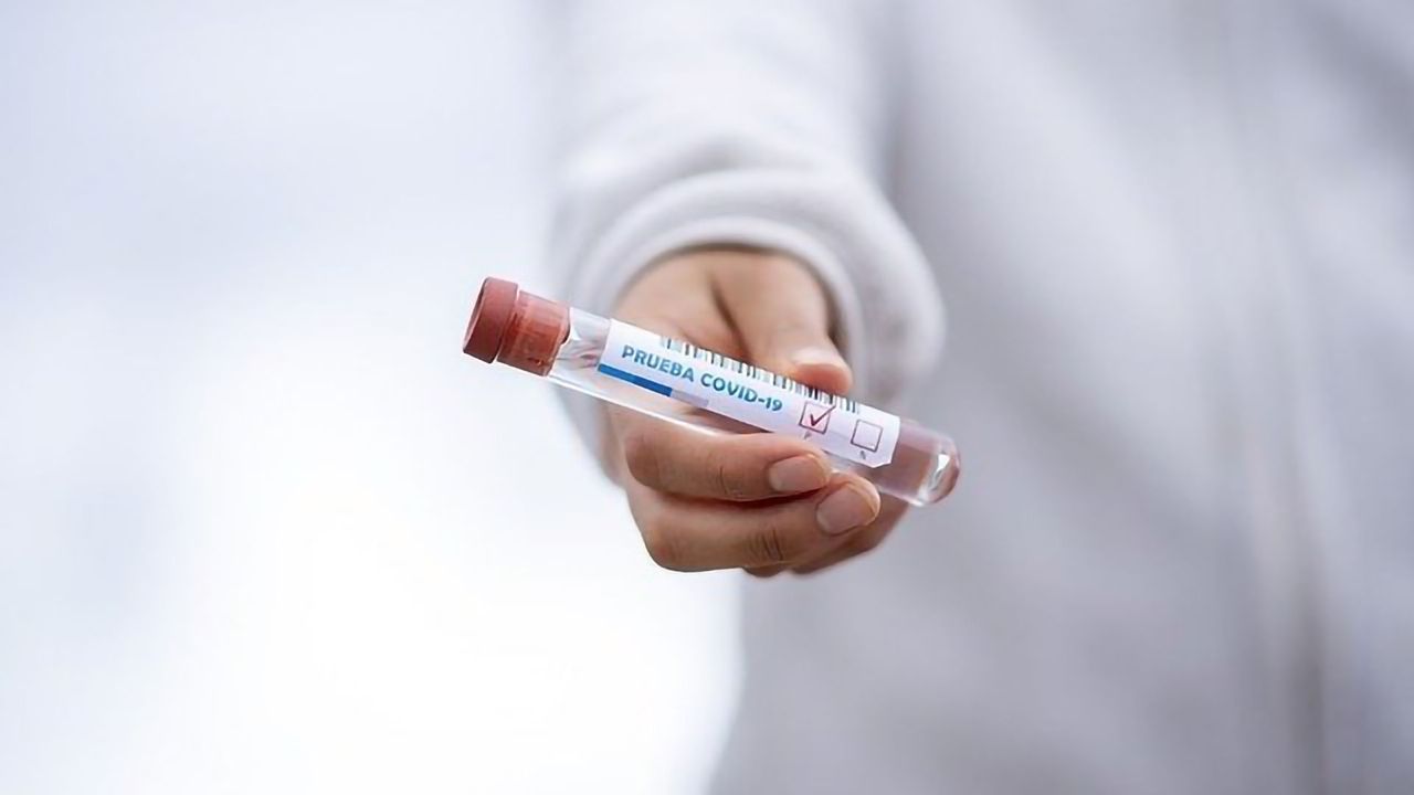 Early Immunological Studies Show Universally Effective Antibodies Against SARS-CoV-2 in Recovered Humans
