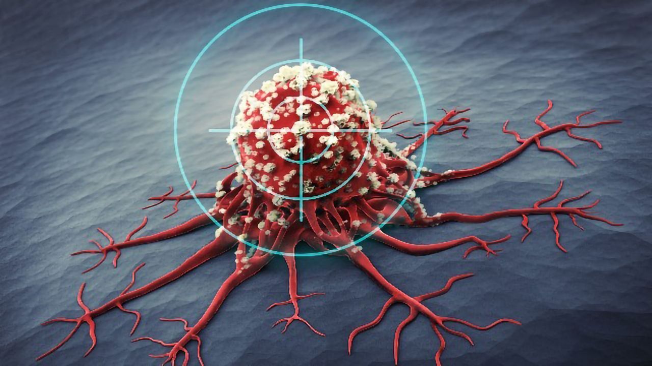 New Insights Into RNA Movements Could Be Used To Treat Cancer