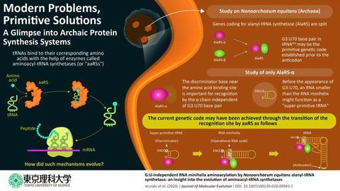 A Glimpse Into Archaic Protein Synthesis Systems