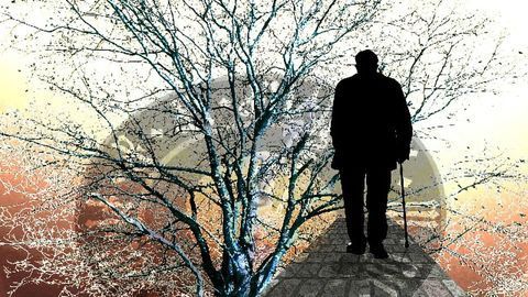 New Evidence for a Blood-based Biomarker for Alzheimer's Disease