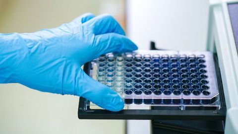 Specialized MAT Reagents for Accurate and Reliable In Vitro Pyrogen Testing