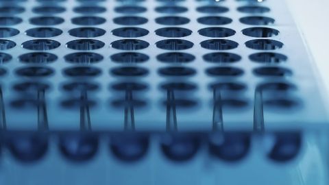 BenchCel Microplate Handler for Full Workflow Automation