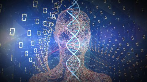 First Set of Discoveries From an 8-year Long Genetic Study