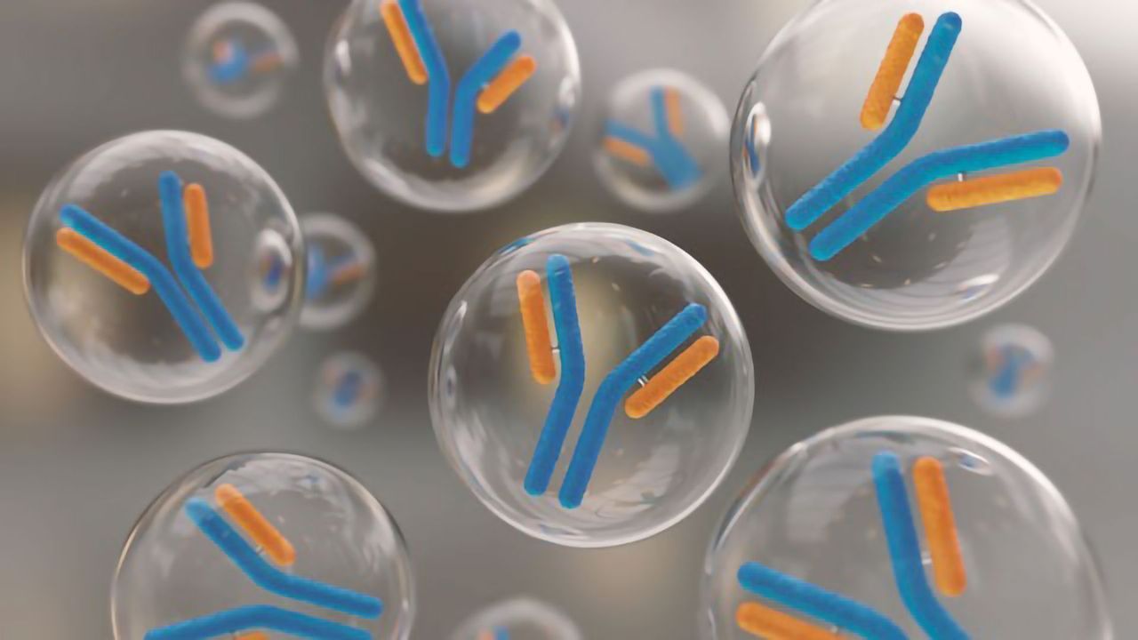 Engineering Antibodies Using Phage Display