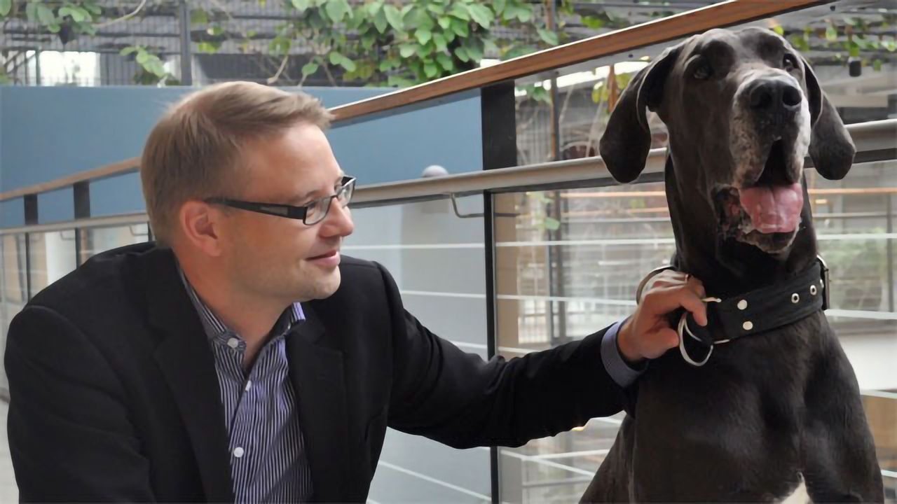 Great Danes Help Identify Genes Associated With Fear