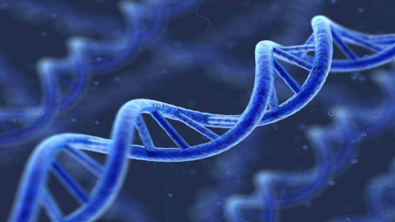 DNA Analysis From Ancient Bronze Age Individuals