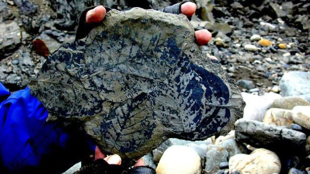 Today's CO2 Levels Break 23 Million Year Record