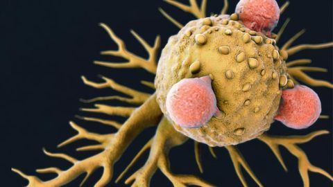 Engineers Design Nanoparticles To Boost Cancer Immunotherapy