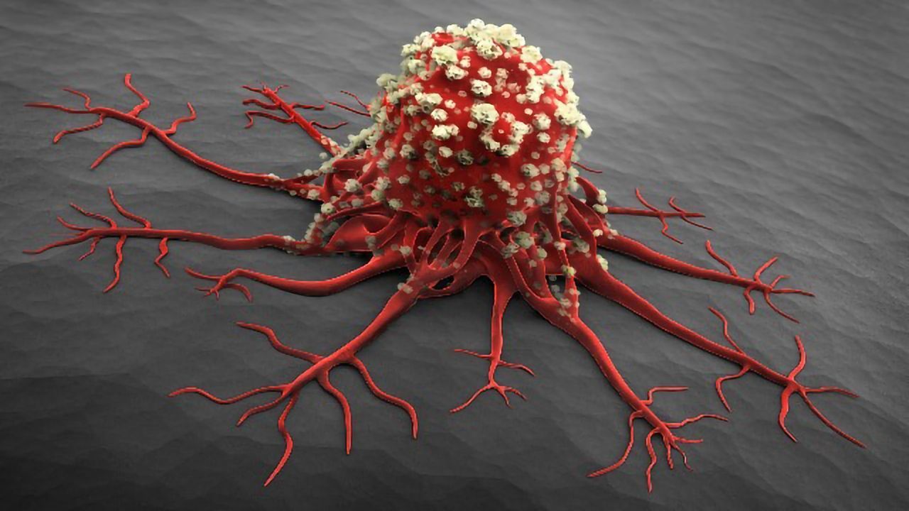 Cancer Cells Cause Inflammation To Shield Themselves From Viruses