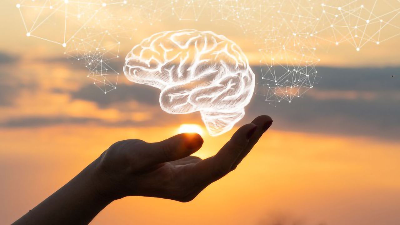 Researchers Identify Where Stress "Lives" in the Brain