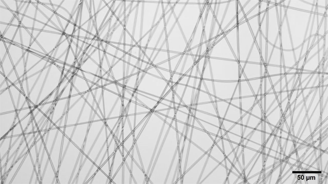 Researchers Design Ultra-thin Fibers To Protect Nerves After Brain Surgery