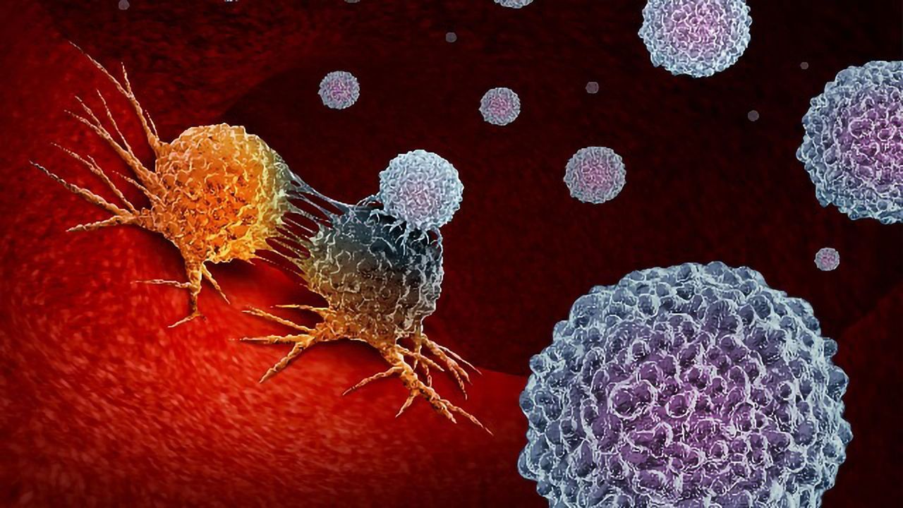 Key Developments in Cancer Immunotherapy Over the Last Decade