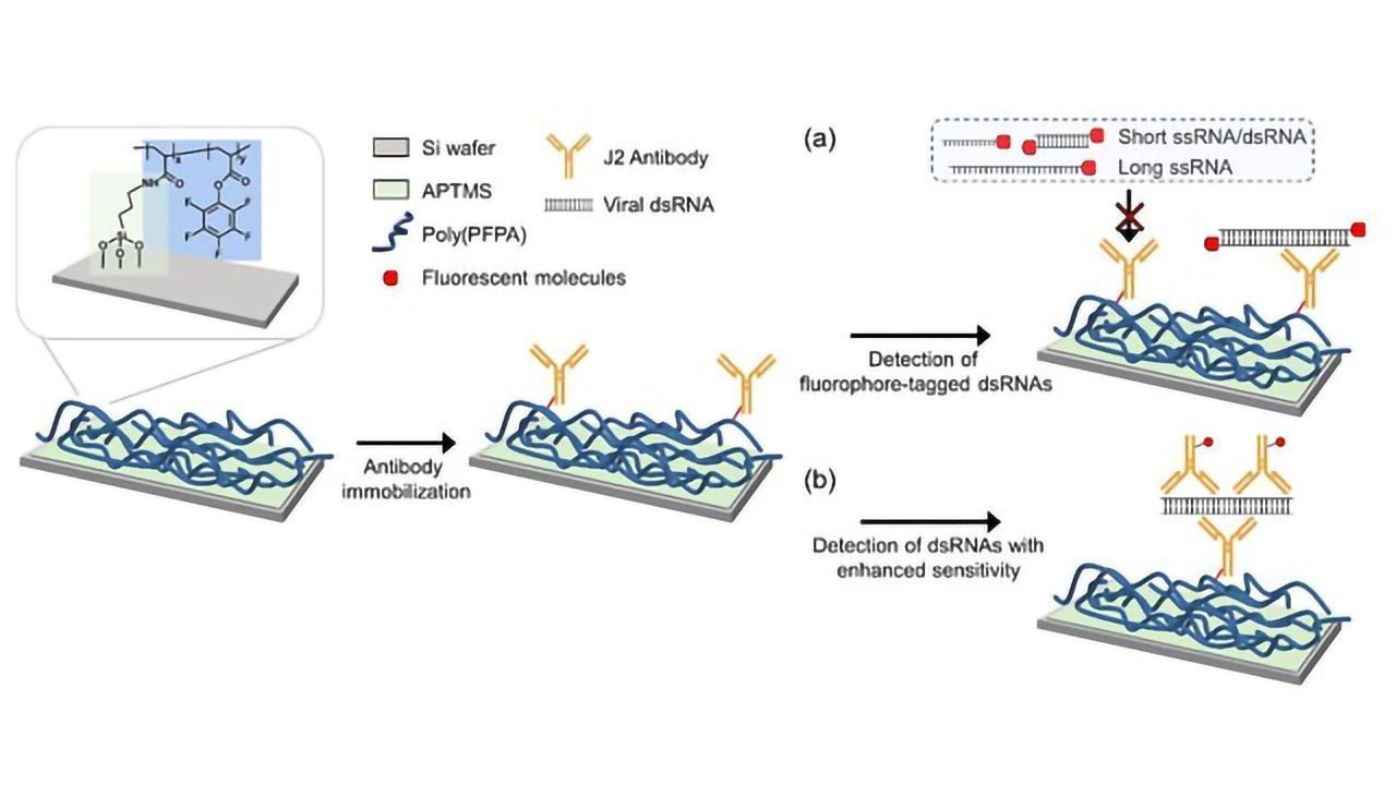 Universal Virus Detection Platform To Expedite Viral Diagnosis Developed