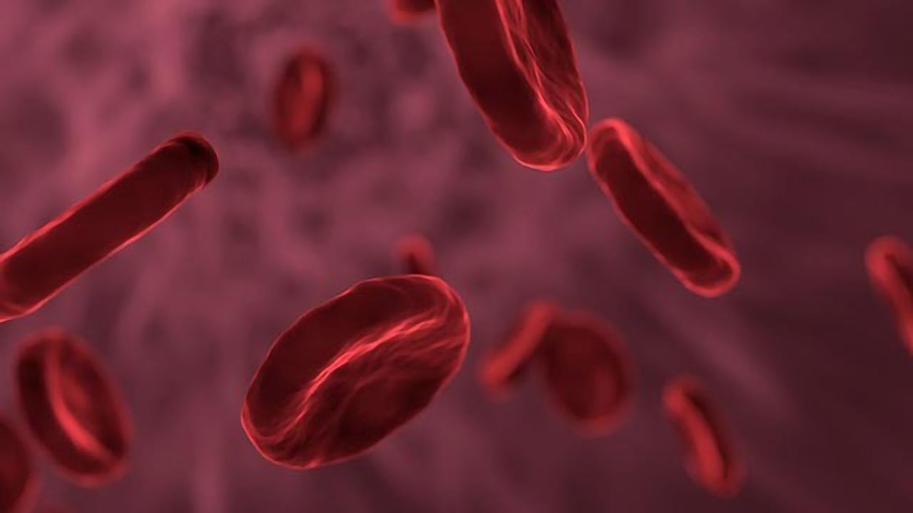 Investigating COVID-19 Infection in Blood Cancer Patients
