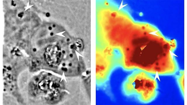 科学家工程师人类细胞液体状透明图像内容块