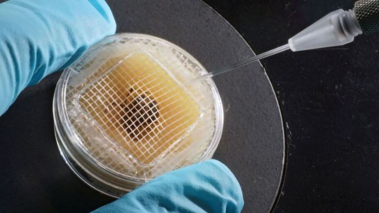 A Little Variety Could Be the Route to Improving Reproducibility in Research