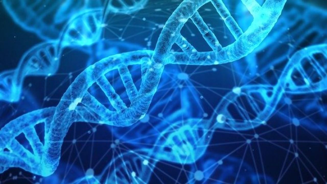 Primitive Genetic Alphabet Based on RNA and DNA