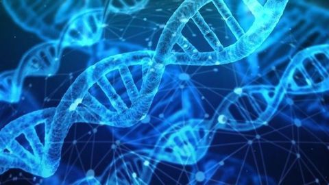 Primitive Genetic Alphabet Based on RNA and DNA