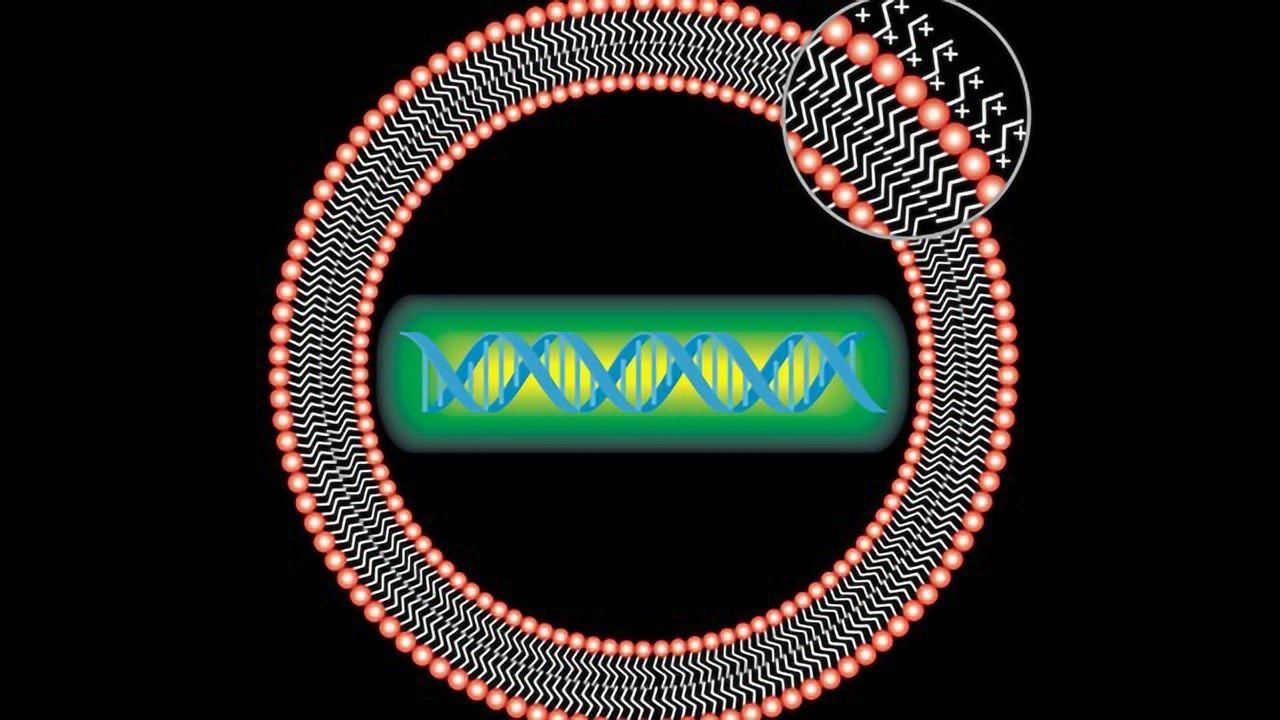 Scientists Work Towards a CRISPR-based COVID-19 Therapy