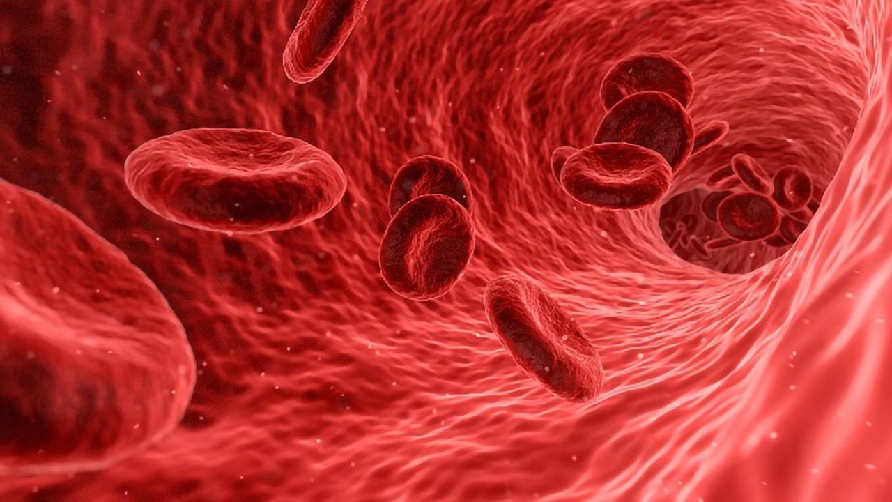 Synthetic Red Blood Cells Mimic Natural Ones and Have New Abilities