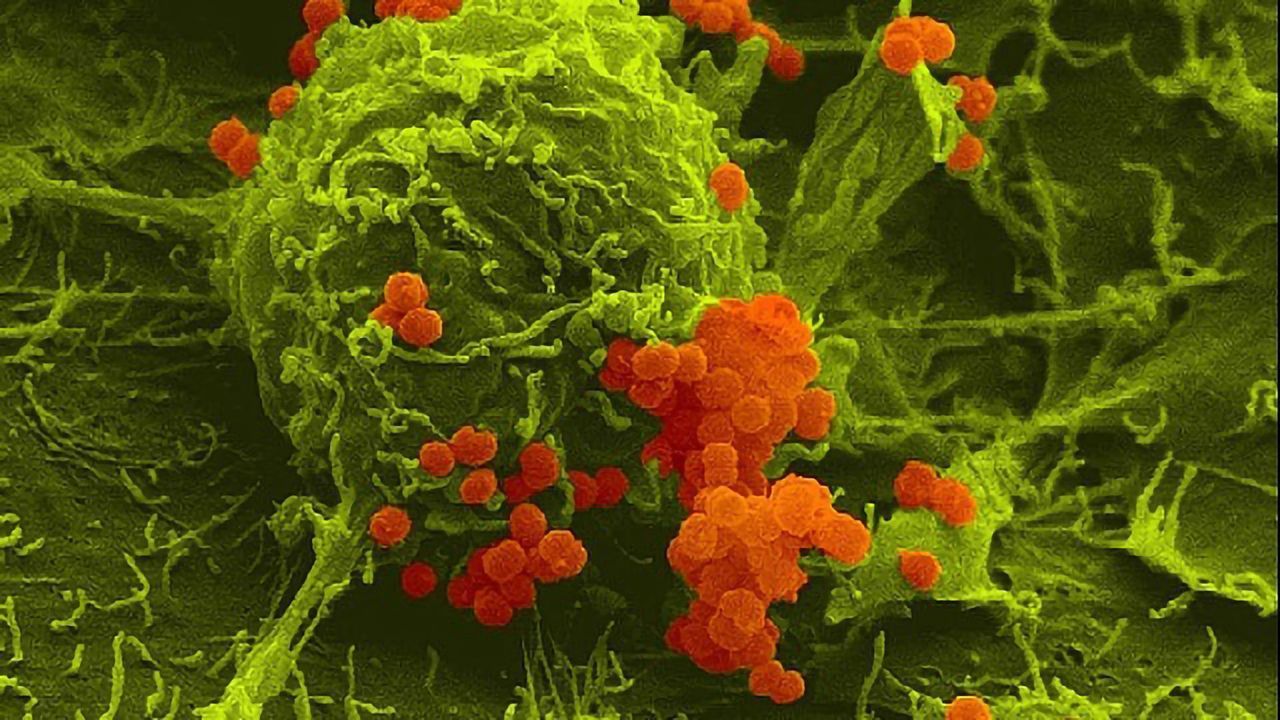 Large Pathogenic Role for a Small Bacterial Protein