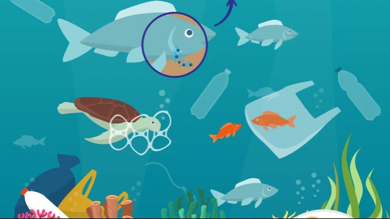 Microplastic Detection
